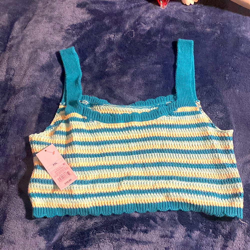 NEW Wild Fable knit crop